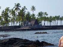 Pu'uhonua O Honaunau