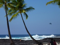 Beach below Honaunau
