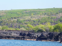 Shoreline seen from snorkel boat