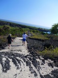 Hiking Trail