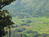 Waipi'o Valley Close-up
