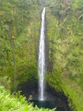 Akaka  Falls Full View