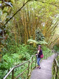On trail in front of bamboo